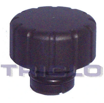 Cap, coolant tank (313338)