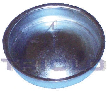 Protection Lid, wheel hub (328701)