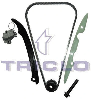 Timing Chain Kit (424276)
