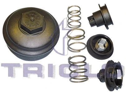 Cap, oil filter housing (312145)