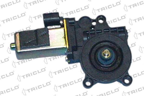 Electric Motor, window regulator