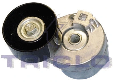 Belt Tensioner, V-ribbed belt (428856)