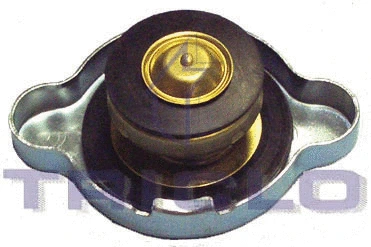 Cap, radiator (316427)