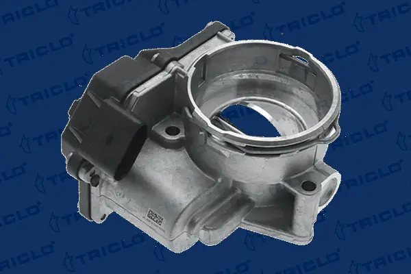 Throttle Body (382779)