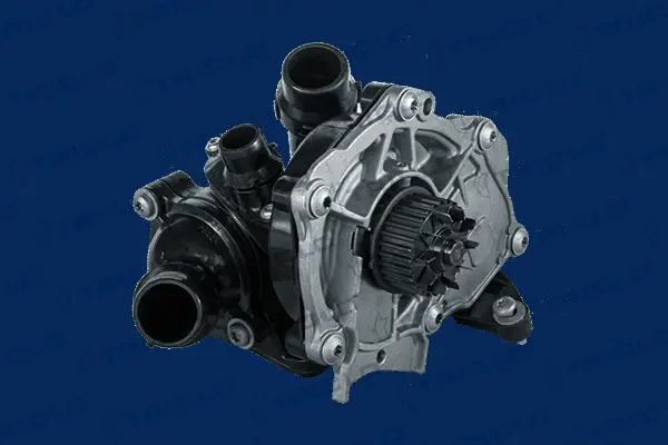 Thermostat, coolant (463528)