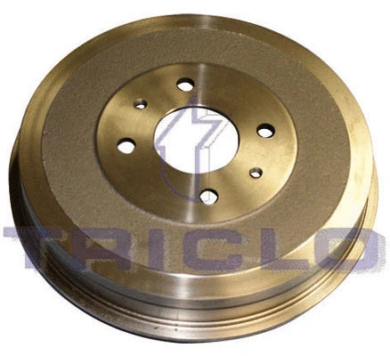 Brake Drum (842048)