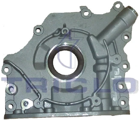 Oil Pump (420033)