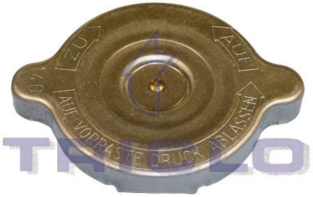 Cap, coolant tank (313189)