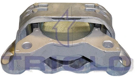 Mounting, engine (368888)