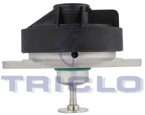 EGR Valve (347003)