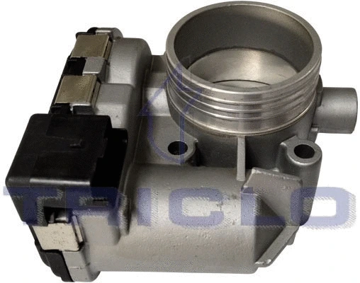 Throttle Body (380310)