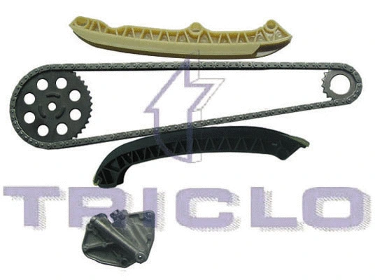Timing Chain Kit (423228)