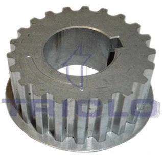 Sprocket, crankshaft (421714)