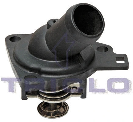 Thermostat, coolant (466633)