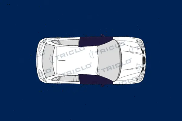 Switch, window regulator (145160)