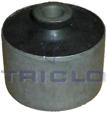 Bushing, axle beam (785746)
