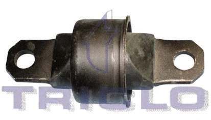 Bushing, axle beam (788572)