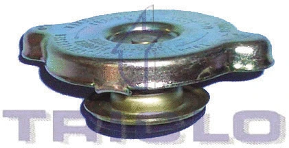 Cap, coolant tank (310176)