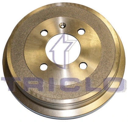 Brake Drum (843560)