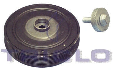 Belt Pulley, crankshaft (425166)