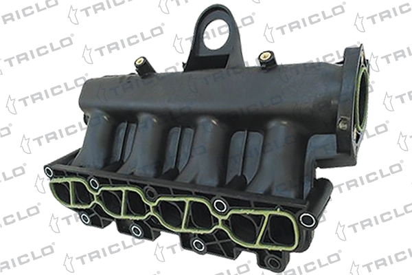 Intake Manifold Module (394853)