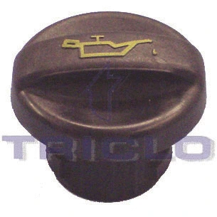 Sealing Cap, oil filler neck (311300)