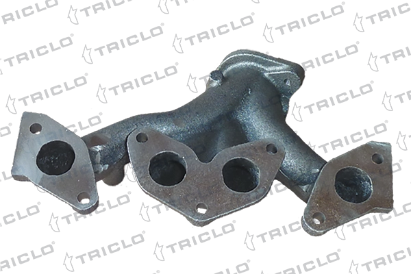 Manifold, exhaust system (350118)