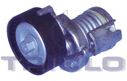 Belt Tensioner, V-ribbed belt (423858)