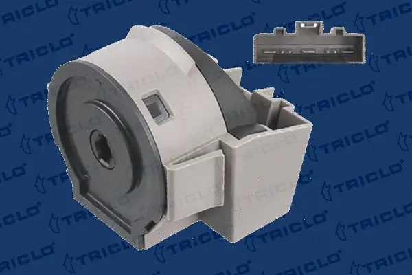 Ignition Switch (437205)