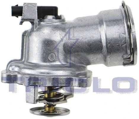 Thermostat, coolant (463536)