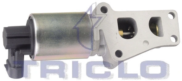 EGR Valve (347006)