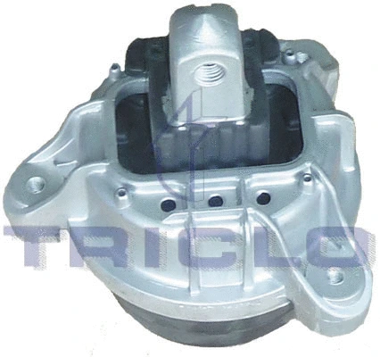 Mounting, engine (362472)