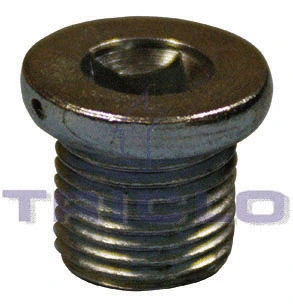 Screw Plug, oil sump (325251)