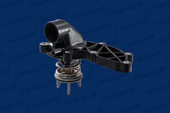 Thermostat, coolant (463393)