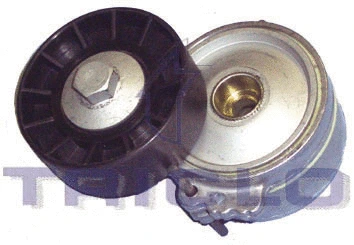 Belt Tensioner, V-ribbed belt (421234)
