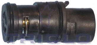 Thermostat, coolant (462424)