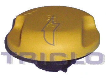 Sealing Cap, oil filler neck (318003)