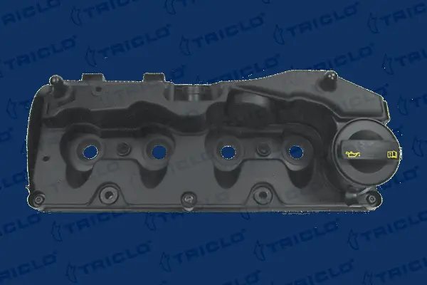 Cylinder Head Cover (392550)