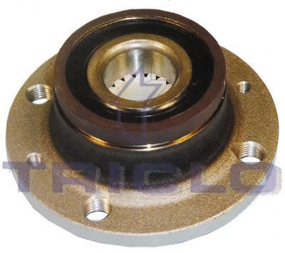 Wheel Hub (902029)