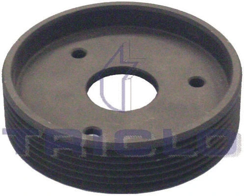 Belt Pulley, power steering pump (425179)