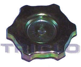 Sealing Cap, oil filler neck (314145)