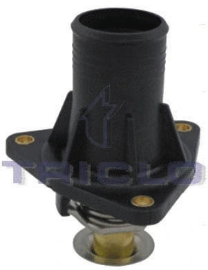 Thermostat, coolant (468951)