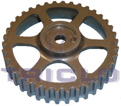 Gear/Sprocket, camshaft (425797)