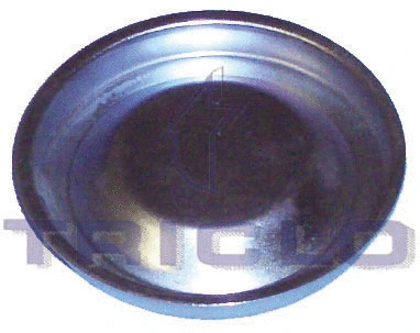 Protection Lid, wheel hub (328700)