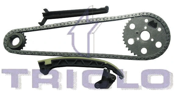 Timing Chain Kit (423224)