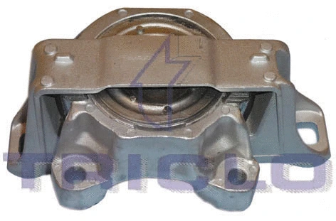 Mounting, engine (368875)