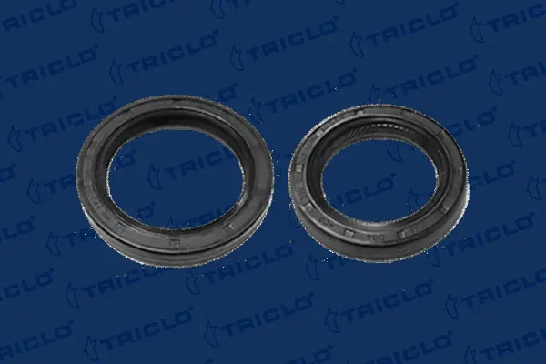 Shaft Seal, differential (672897)