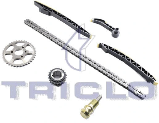 Timing Chain Kit (422171)
