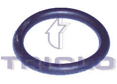 Seal, thermostat (441756)