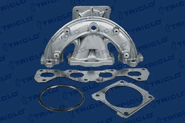 Manifold, exhaust system